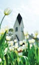 Idyllic Spring Scene with Tulips and Church
