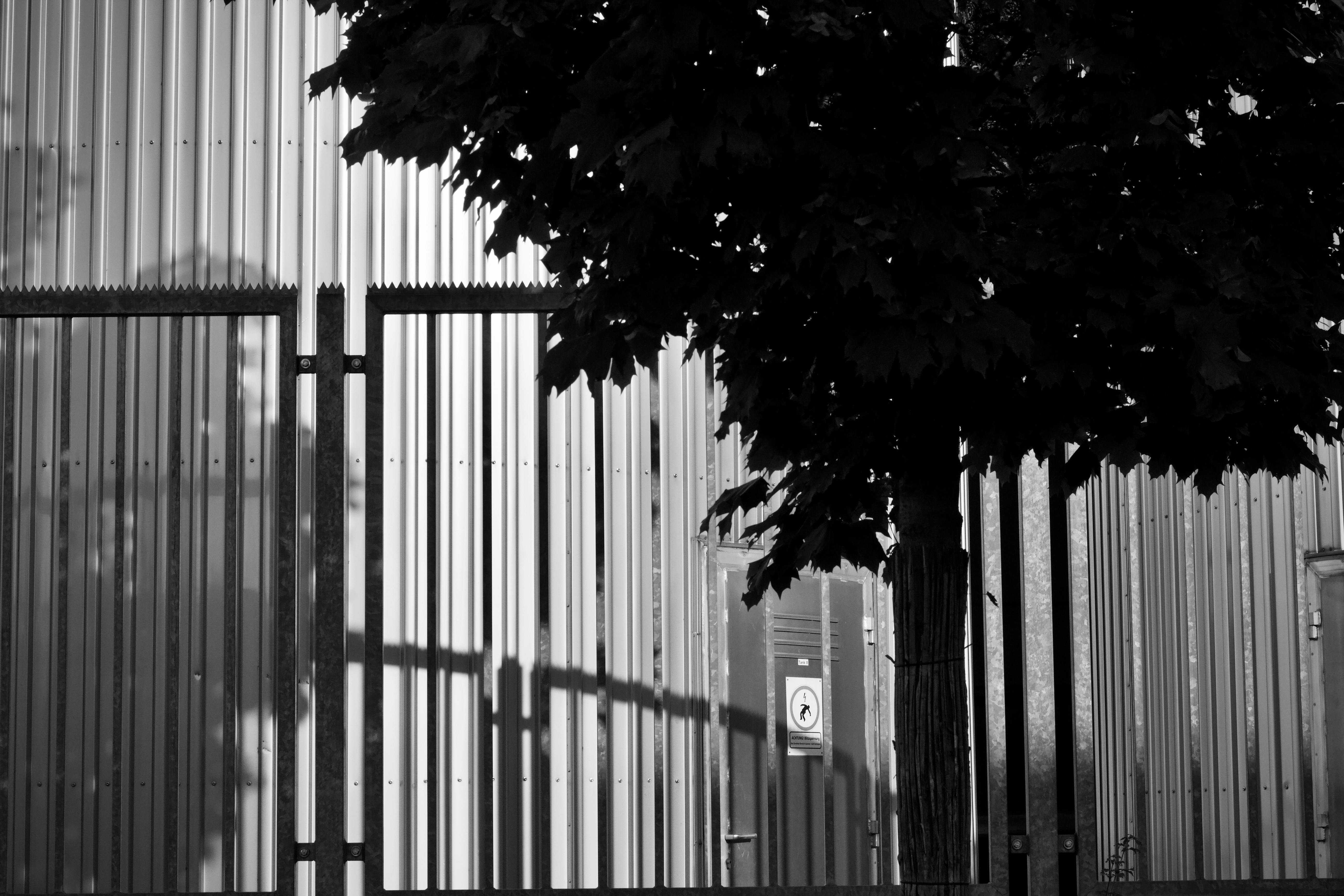 Free A striking black and white image capturing shadows on a corrugated metal fence with a tree. Stock Photo