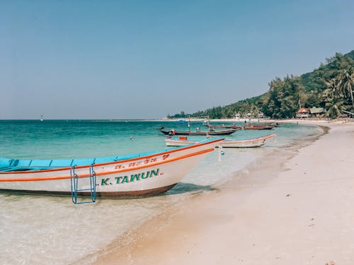 White and Blue Boat on Beach