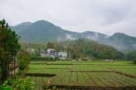 Mountainous Farmland with Morning Mist and Lush Vegetation