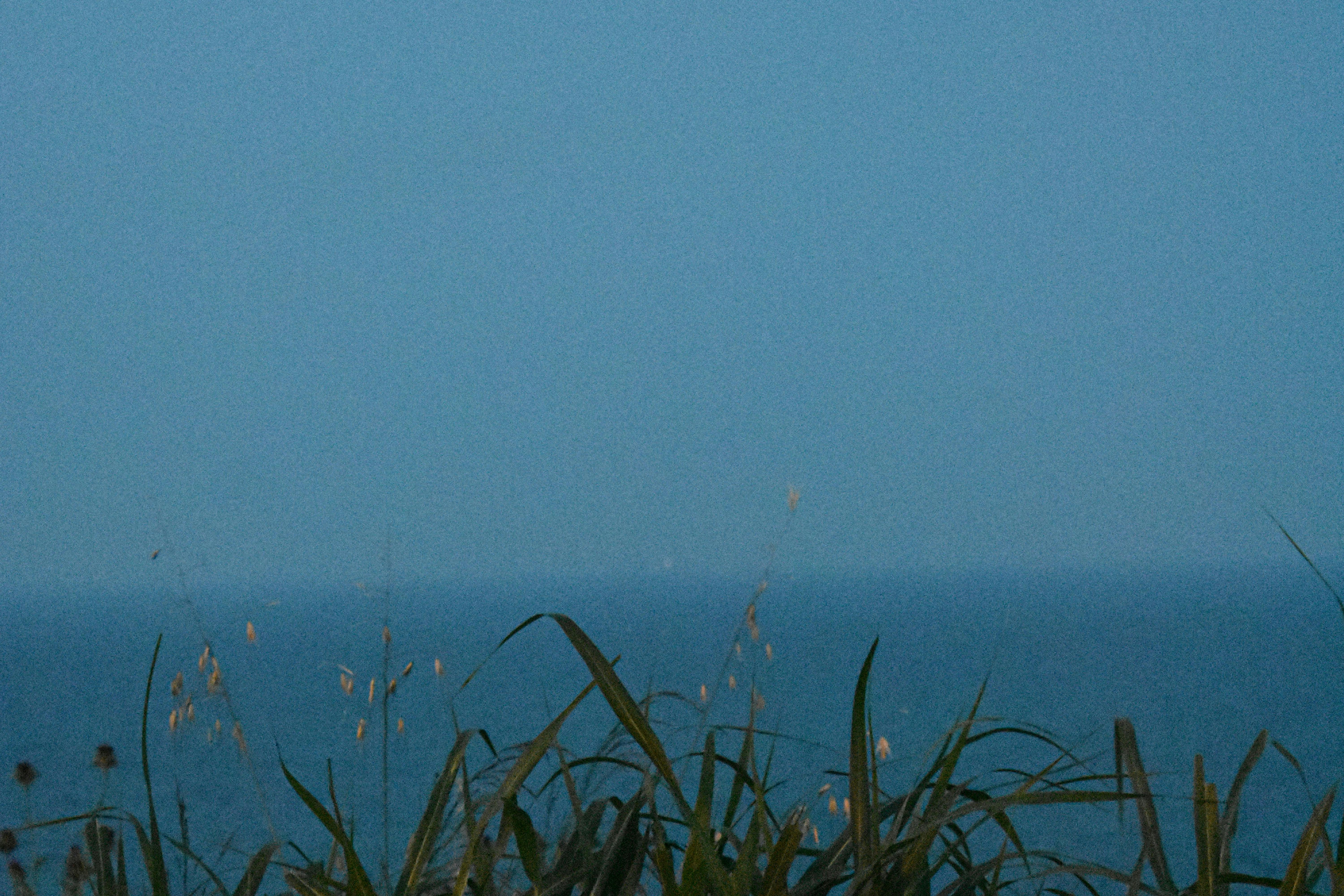 бесплатная Спокойный прибрежный пейзаж с травой в Карабуруне, Стамбул, запечатленный в сумерках. Стоковое фото