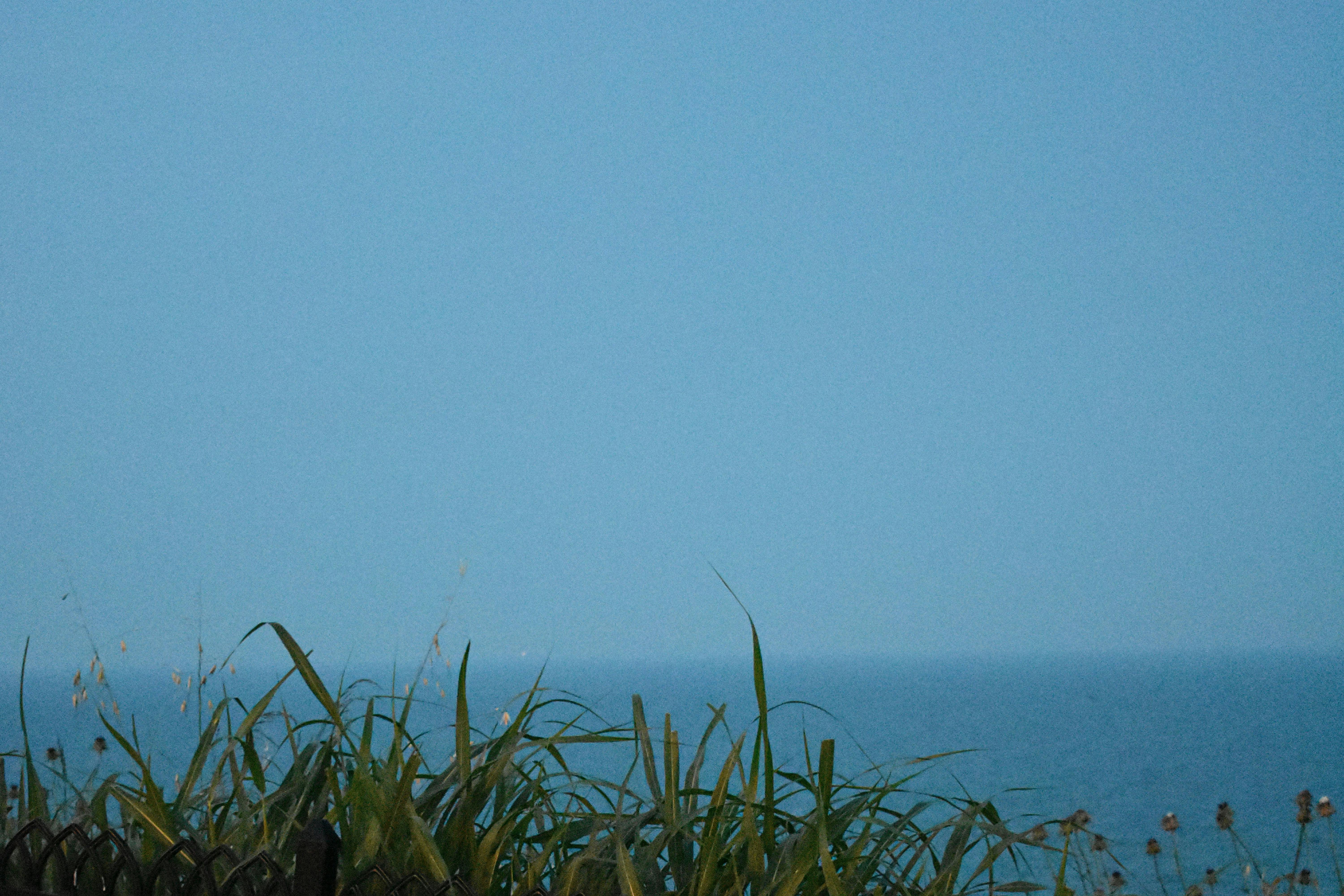 Gratis Una escena costera tranquila de Karaburun, Estambul, con pastos verdes y un mar azul claro. Foto de stock