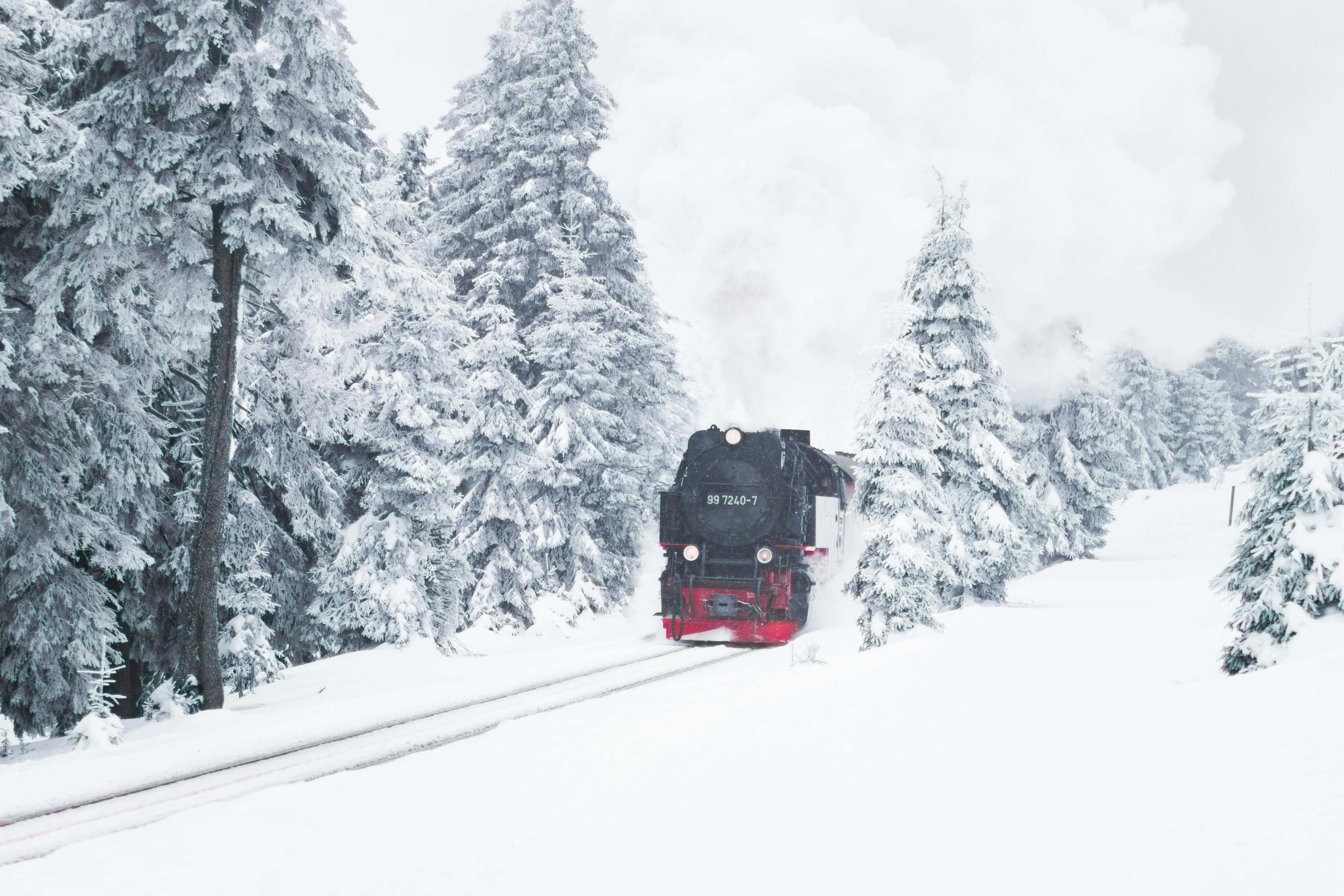 general travel cards — Photo by Mr Dr3igeteilt on Pexels