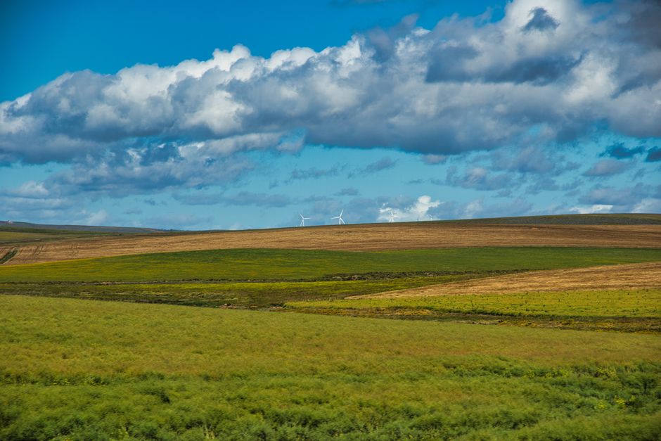 Alberta Power Policies Force ATCO to Write Down Wind and Solar Assets by $408M