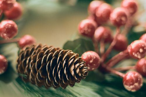 Free Detailed close-up of a pine cone and red berries creating a festive decor mood. Stock Photo