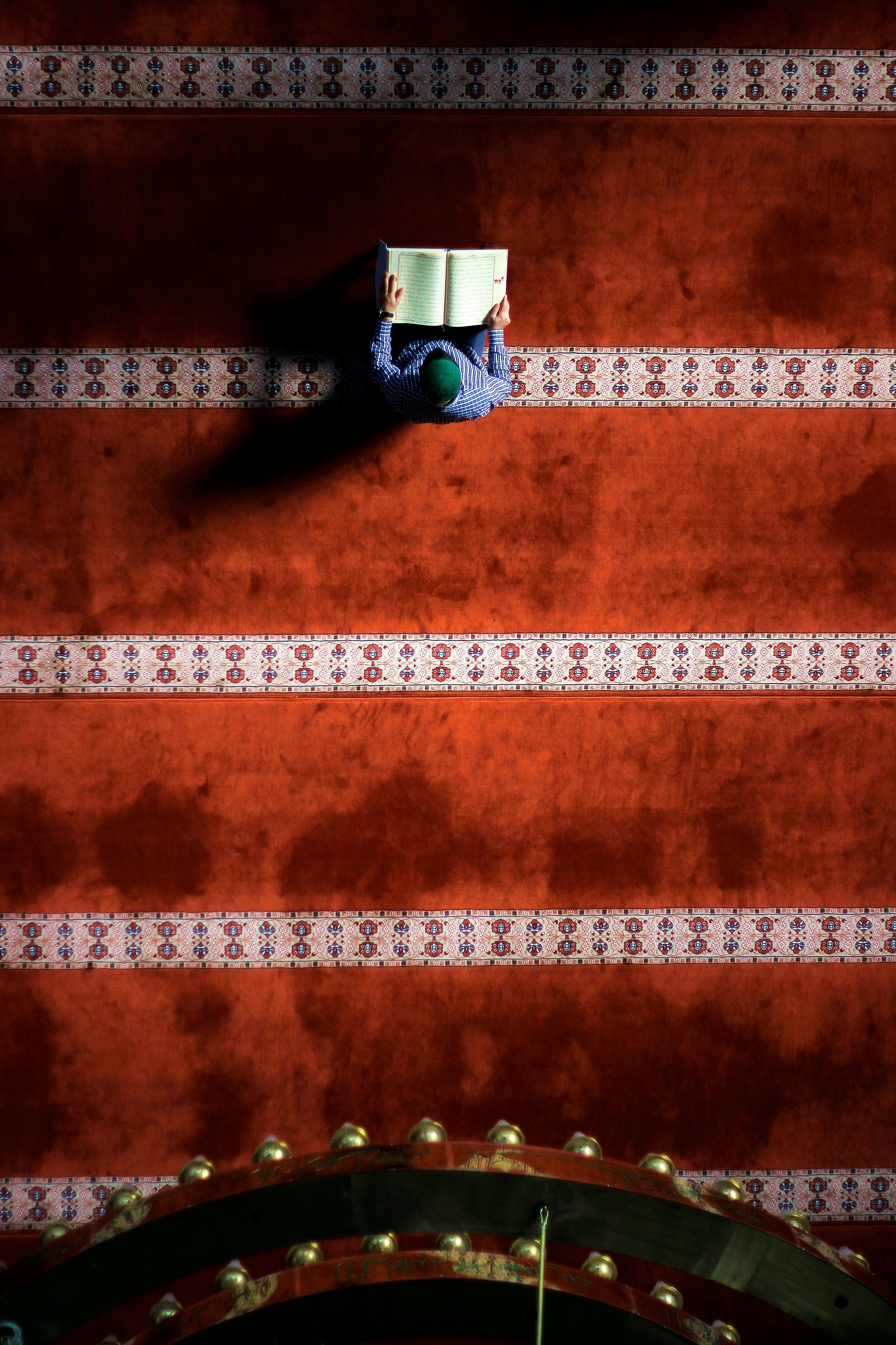 Free Aerial view of a person reading a book in a beautifully patterned carpeted room. Stock Photo
