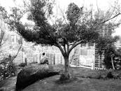 Contemplative Scene Overlooking Hong Kong Skyline