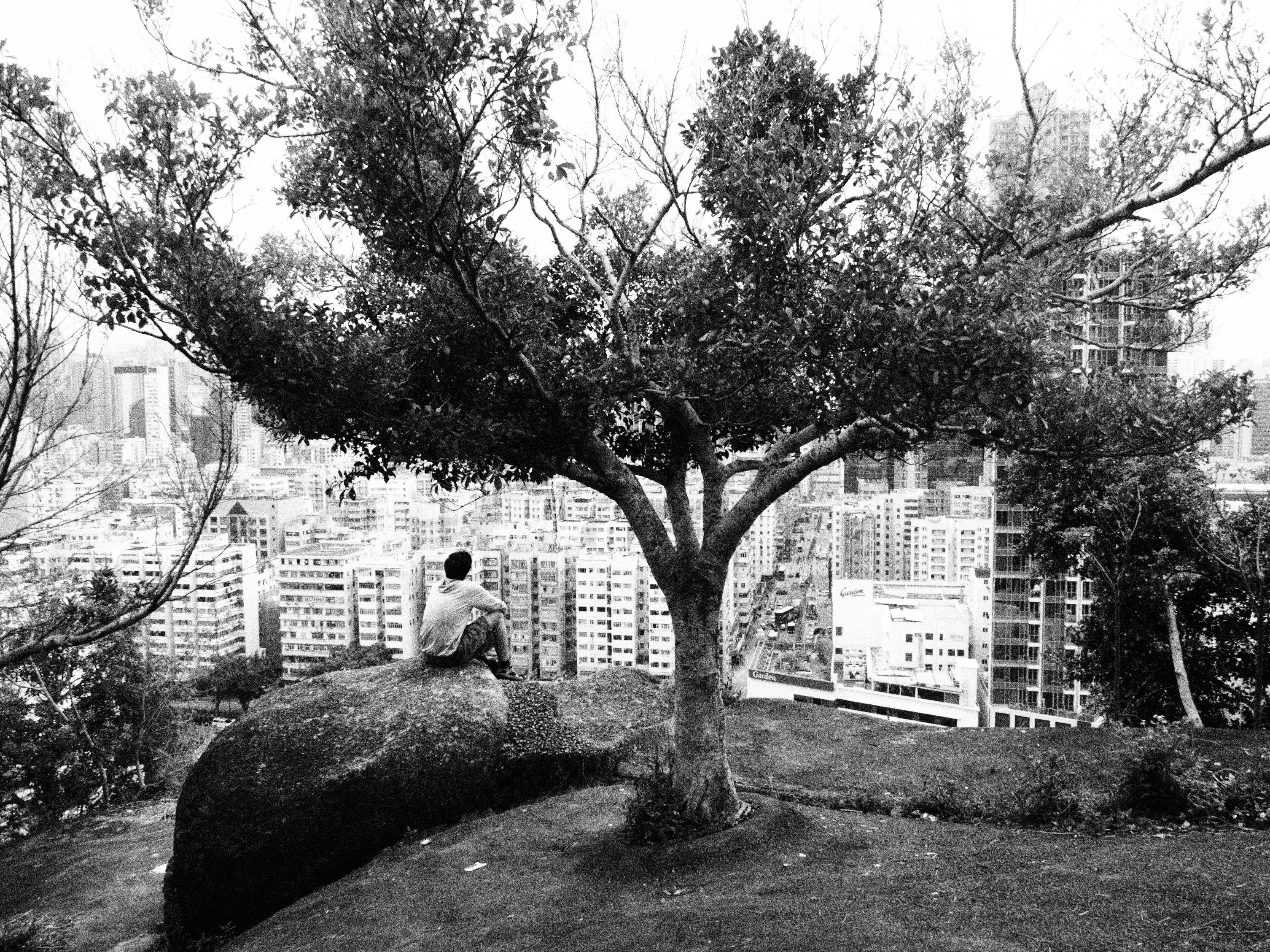 Contemplative Scene Overlooking Hong Kong Skyline