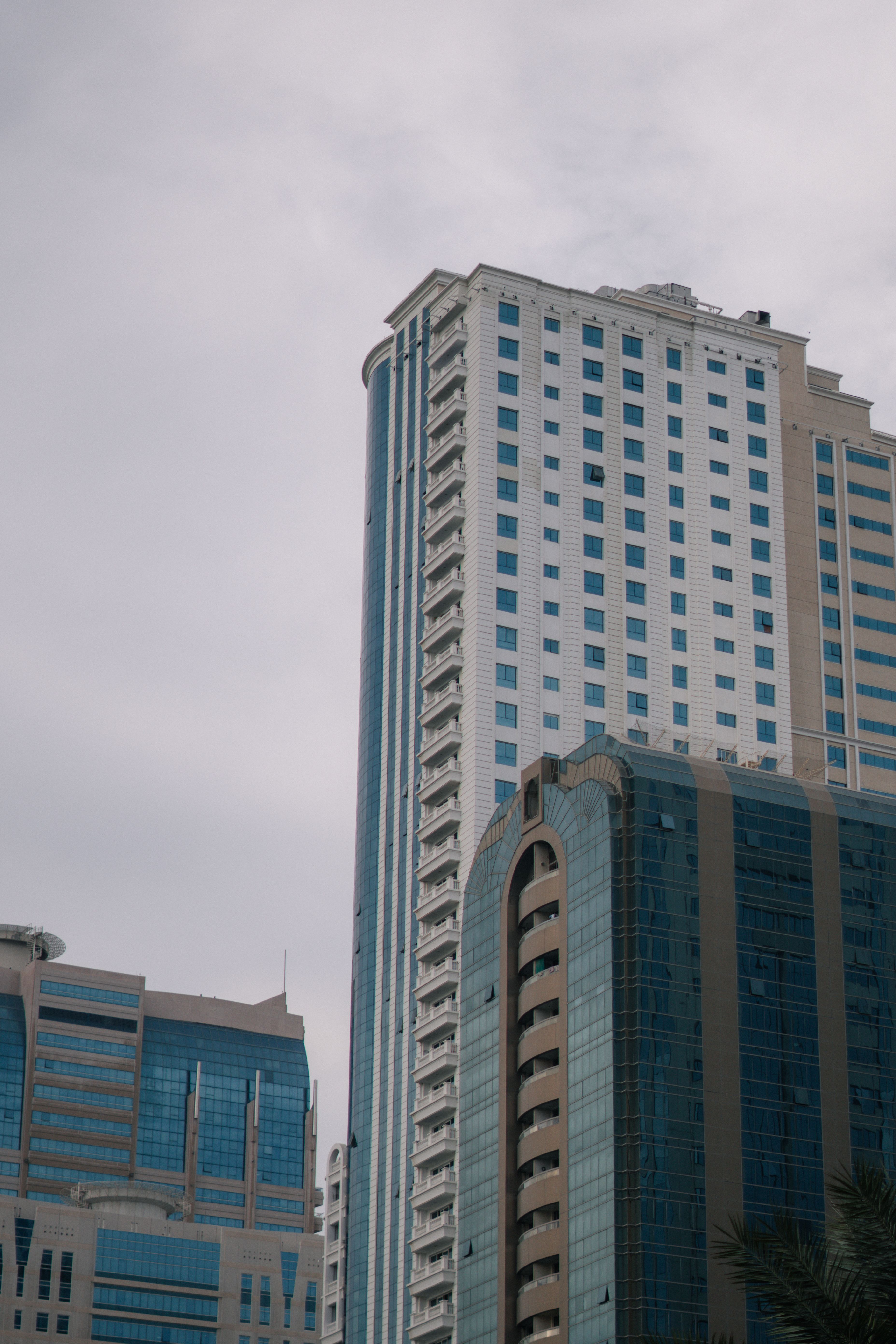 Green Trees Near High Rise Buildings Under Blue Sky · Free Stock Photo