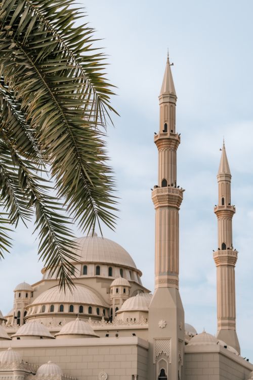 Free Beautiful mosque with palm in UAE, showcasing Islamic architecture. Stock Photo