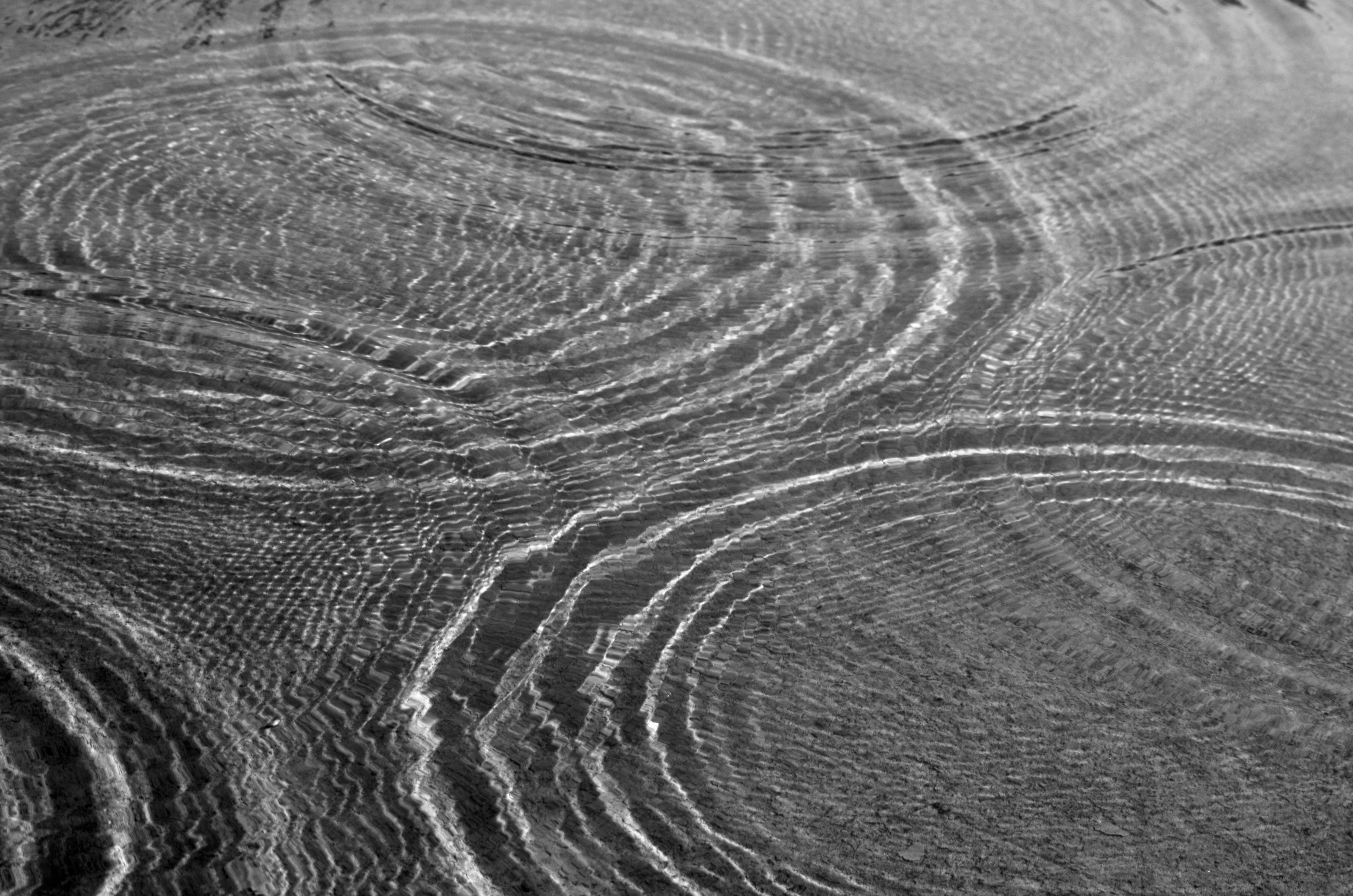 Monochrome Ripple Patterns on Water Surface · Free Stock Photo