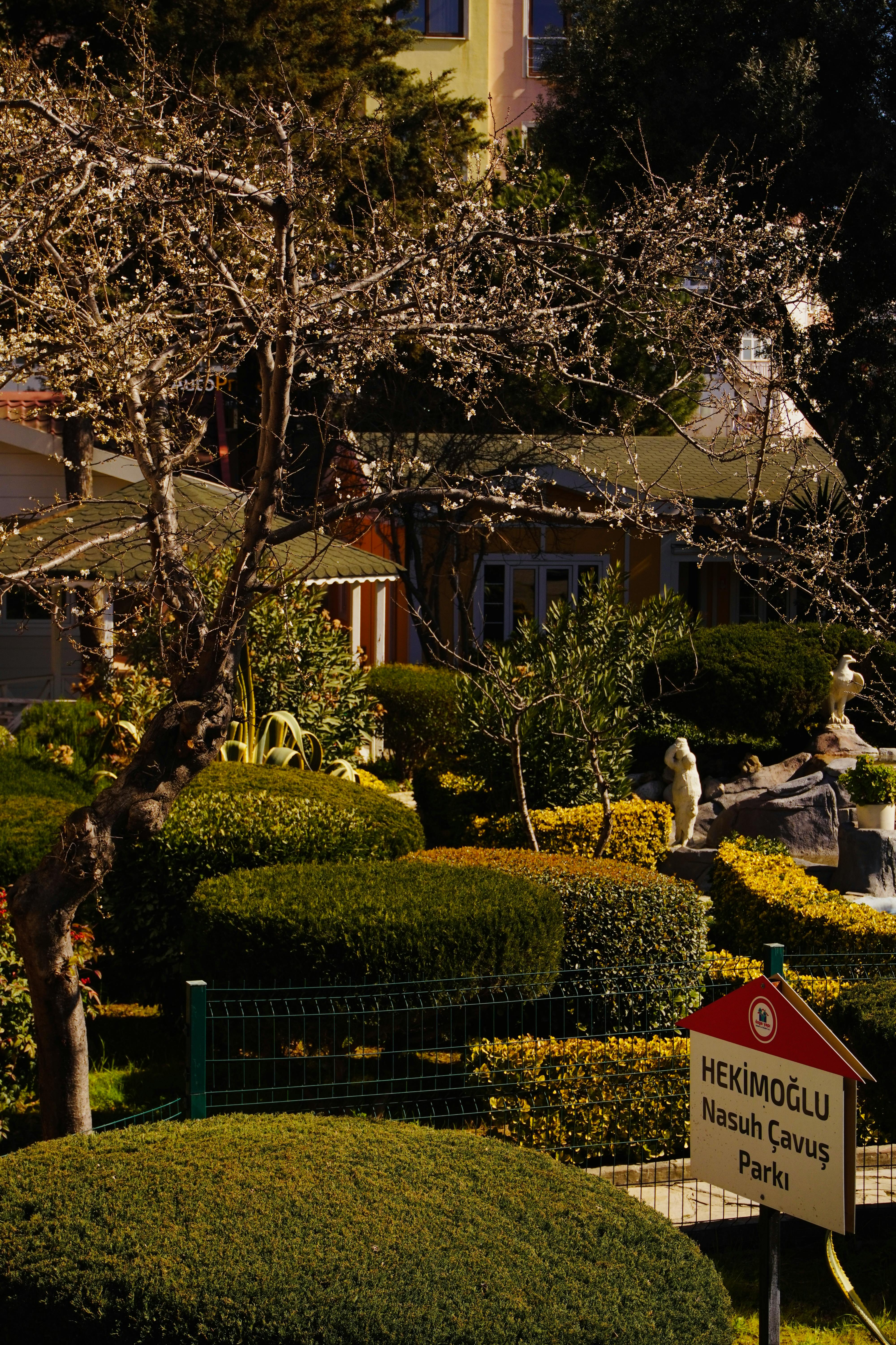 Spring scene of Hekimou011flu Nasuh u00c7avuu015f Park with blossoming trees and trimmed hedges.