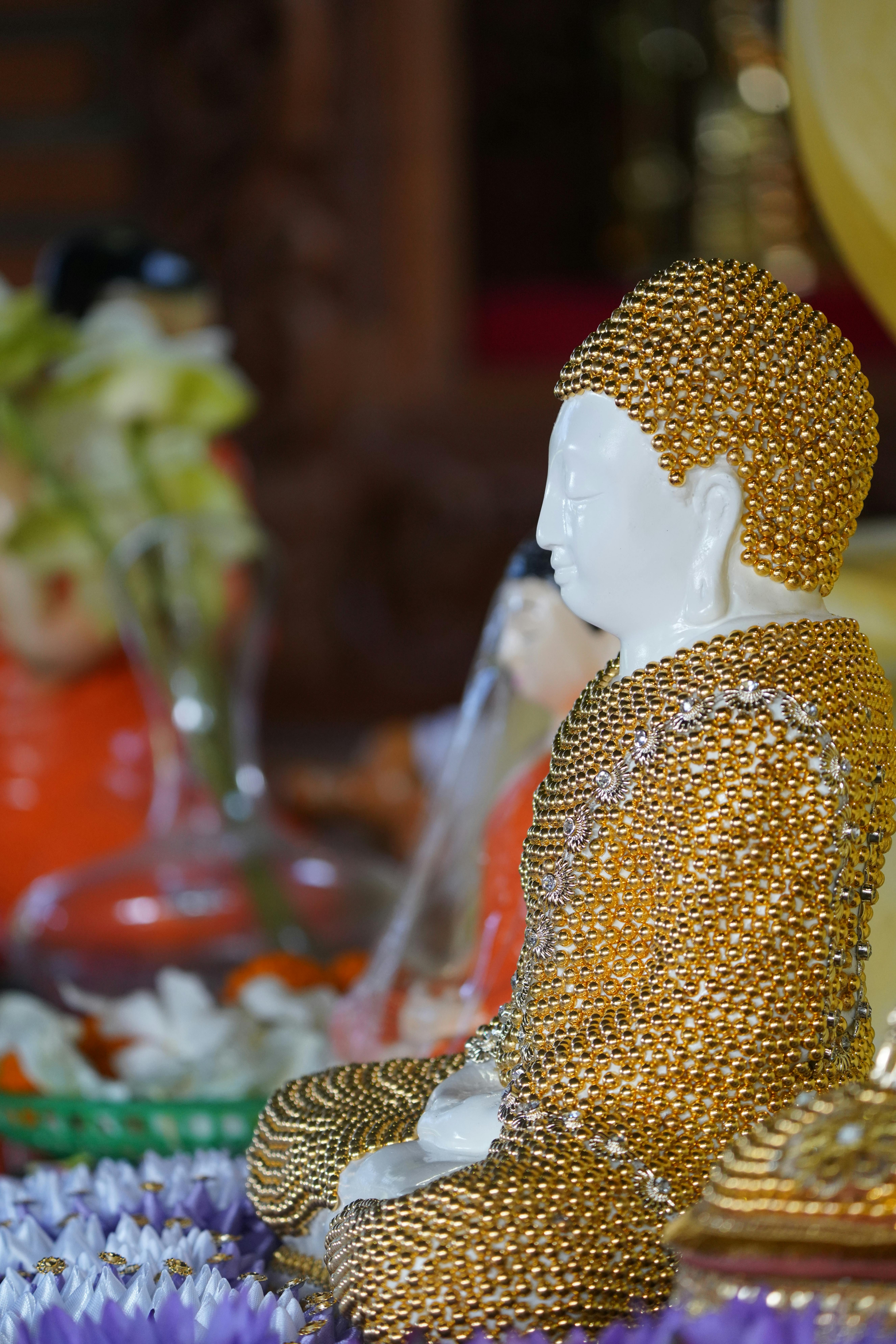 Buddha Dhamma For University Students Buddhadasa Bhikkhu