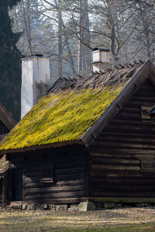 Free Rustic moss-covered cabin in a tranquil Swedish forest, Jönköping. Stock Photo