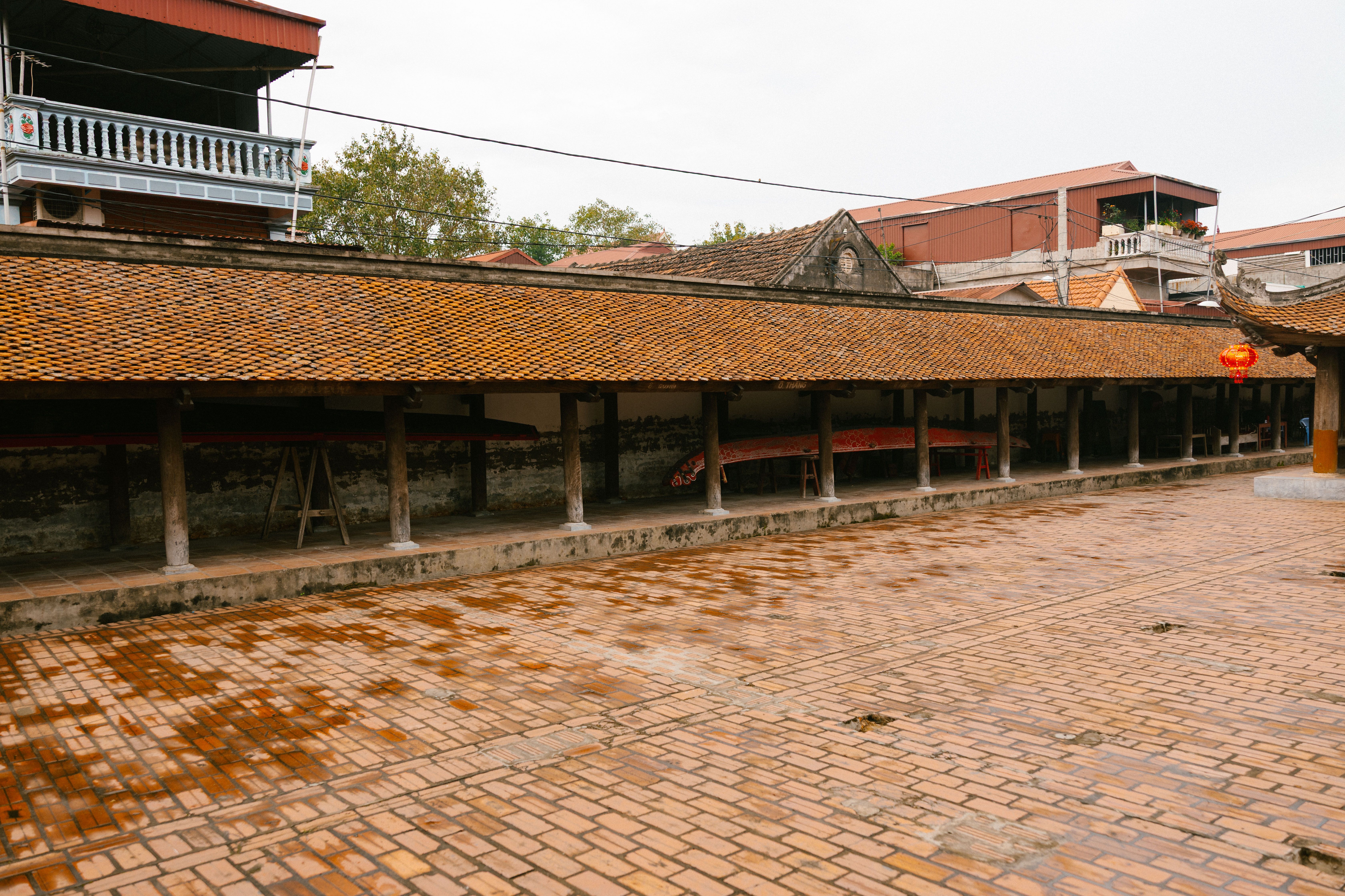 Vietnamese village festival courtyard with bamboo cages, roosters, and families watching respectfully