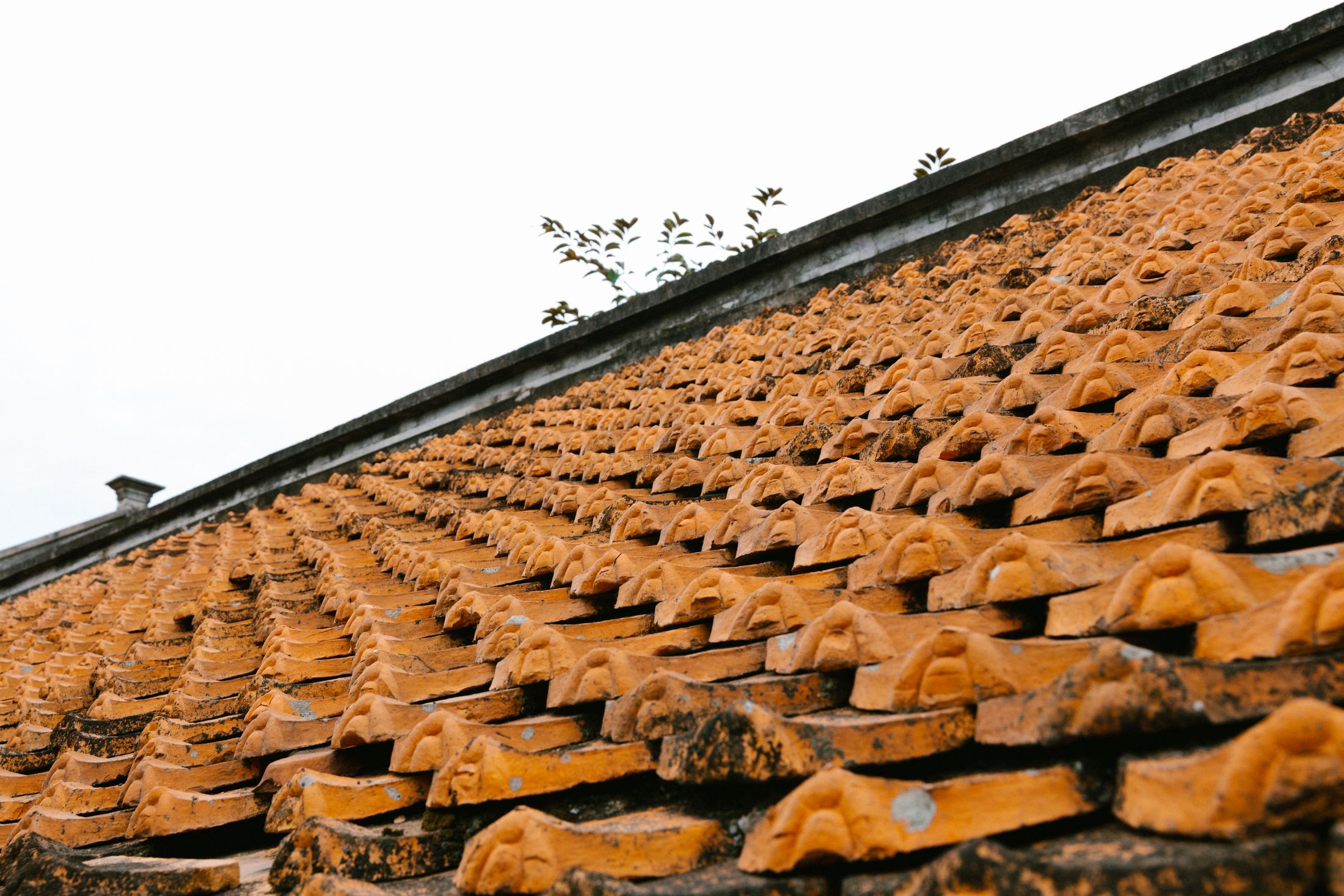 Close-up of overlapping clay roof tiles