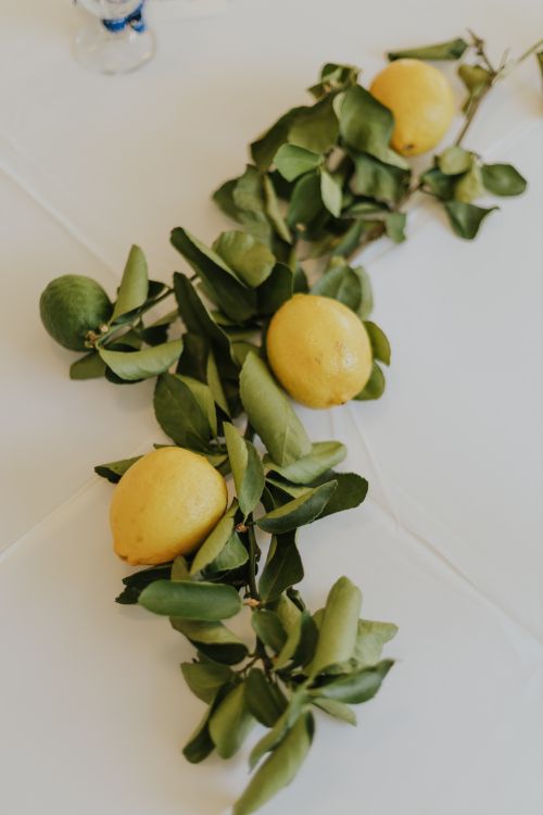 Free Vibrant lemons and limes with green leaves on a white surface, showcasing freshness. Stock Photo