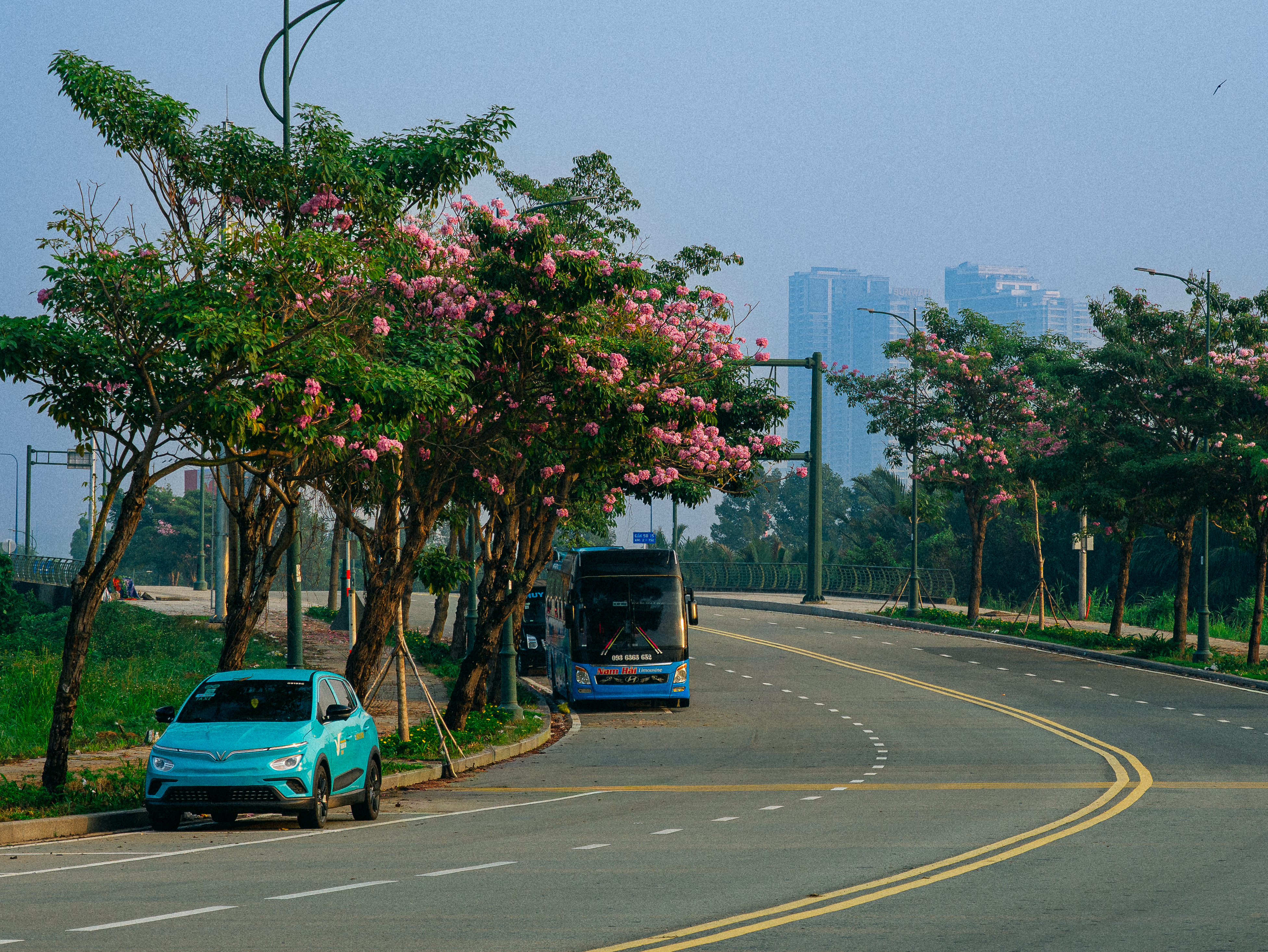 evs explained green transportation — Photo by Tùng Trần on Pexels