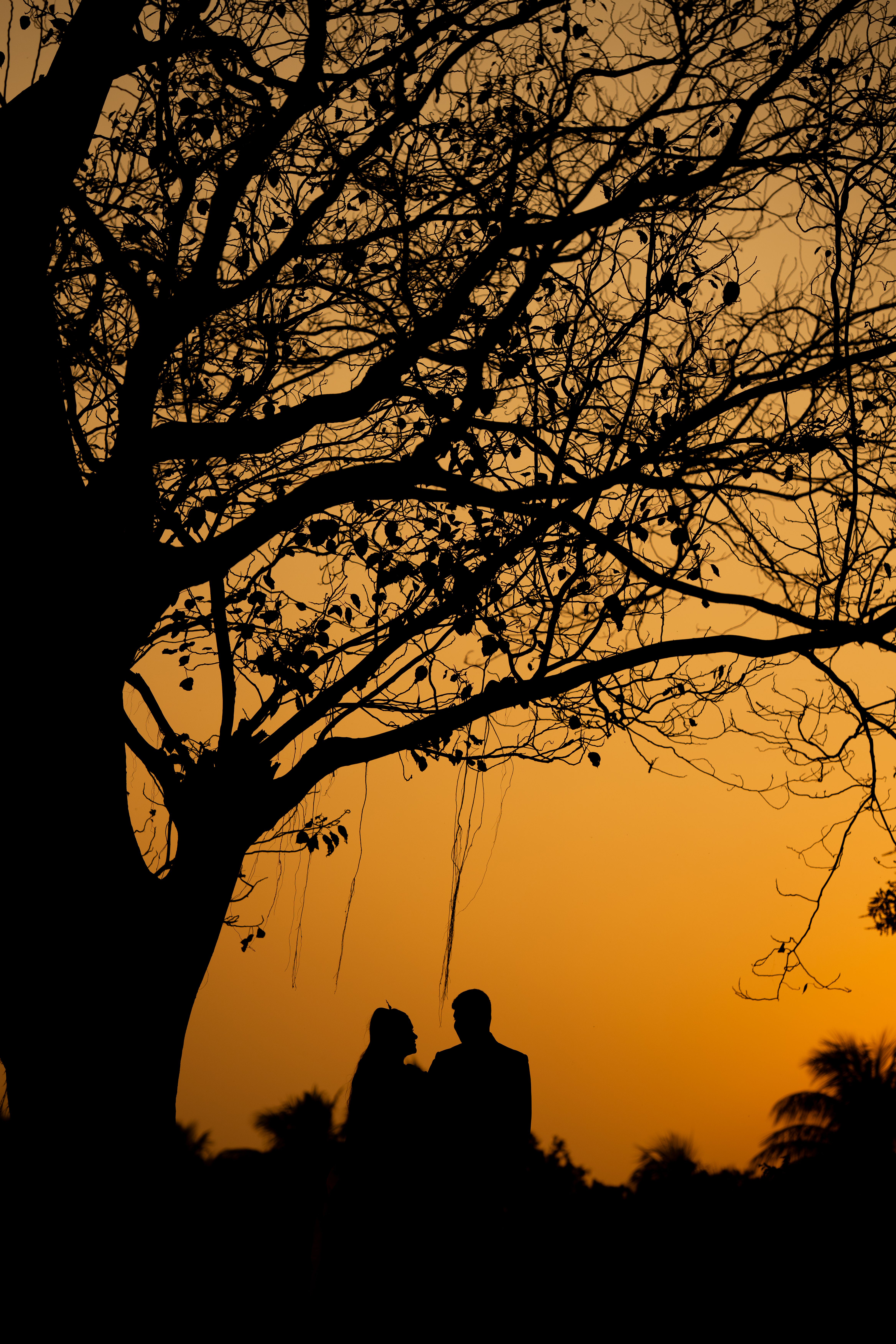 Silhouette of Couple Under Tree at Sunset · Free Stock Photo