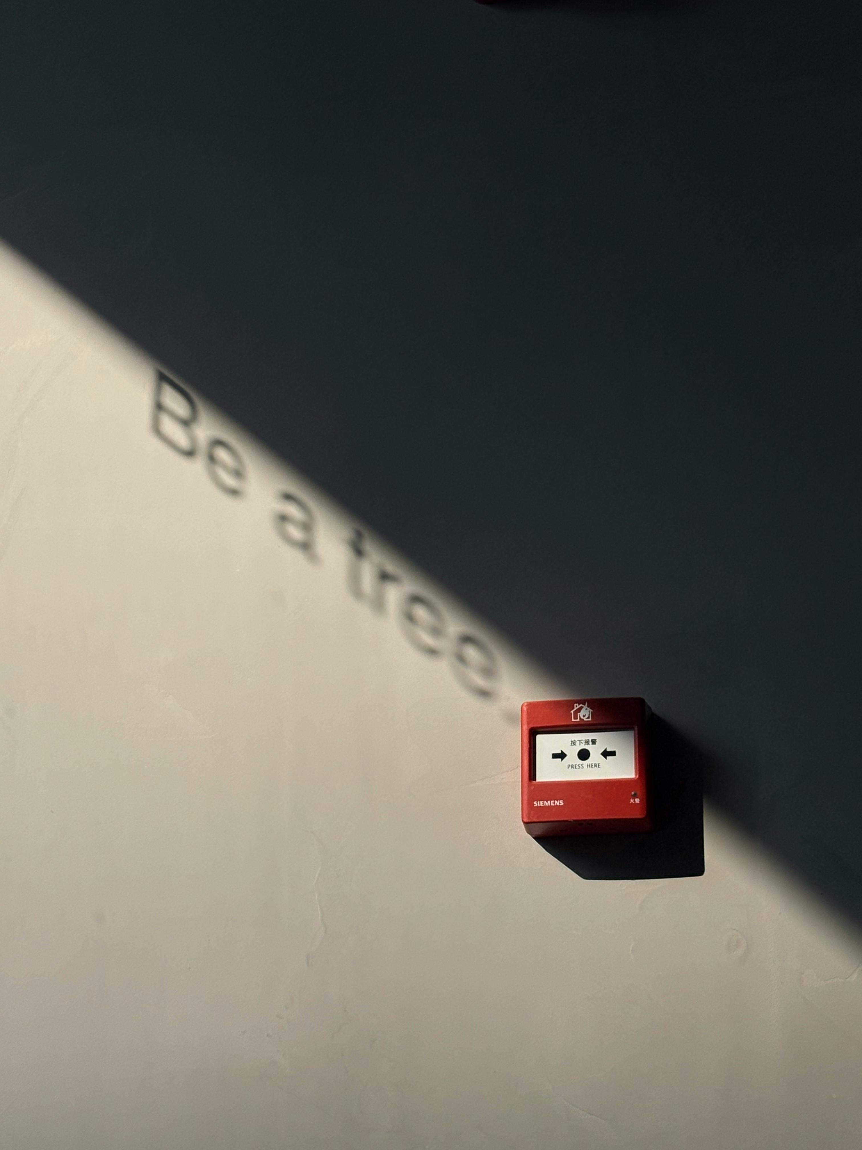 Gratis Testo in ombra "Sii un albero" su una parete con un interruttore rosso per l'allarme antincendio sotto un'illuminazione spettacolare. Foto a disposizione