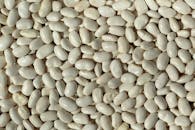 Close-up of White Beans for Culinary Use