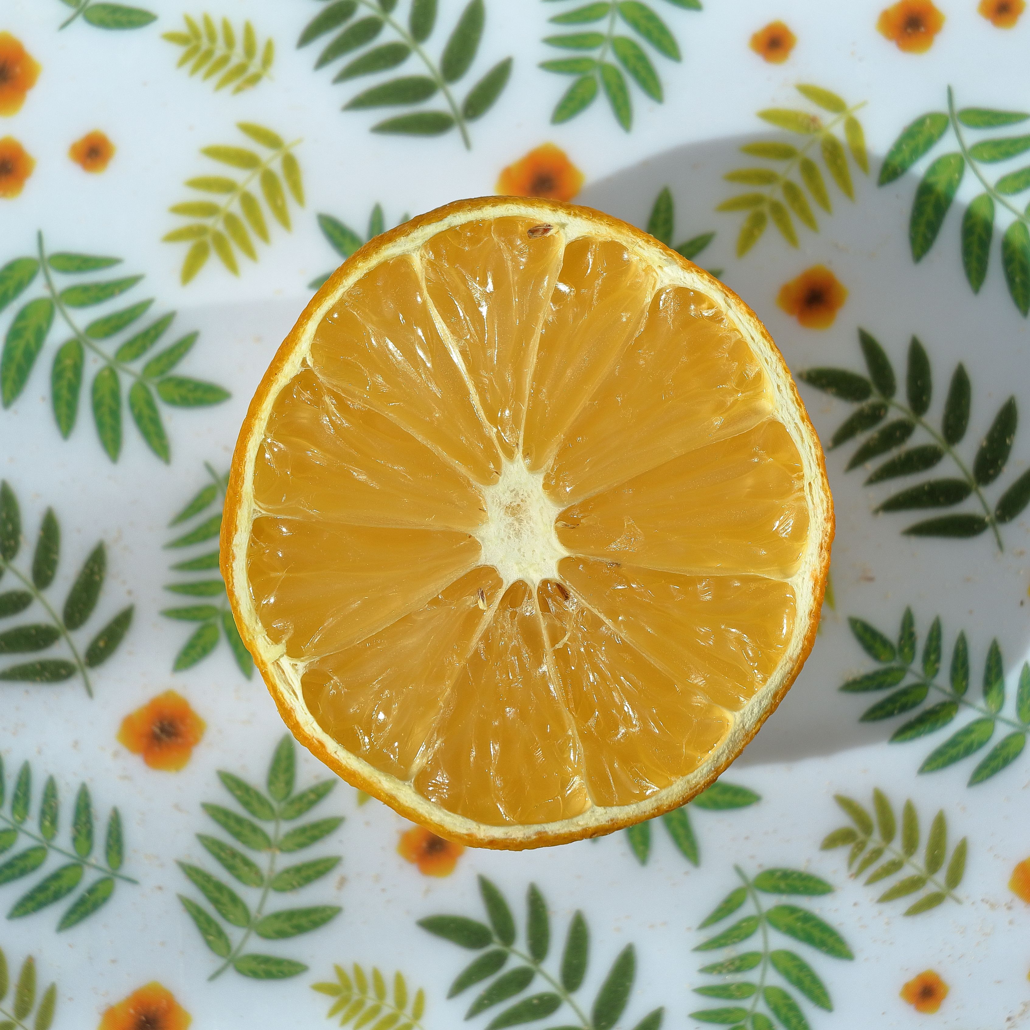 Orange slice on a leaf-print plate — Mustafa Akin on Pexels