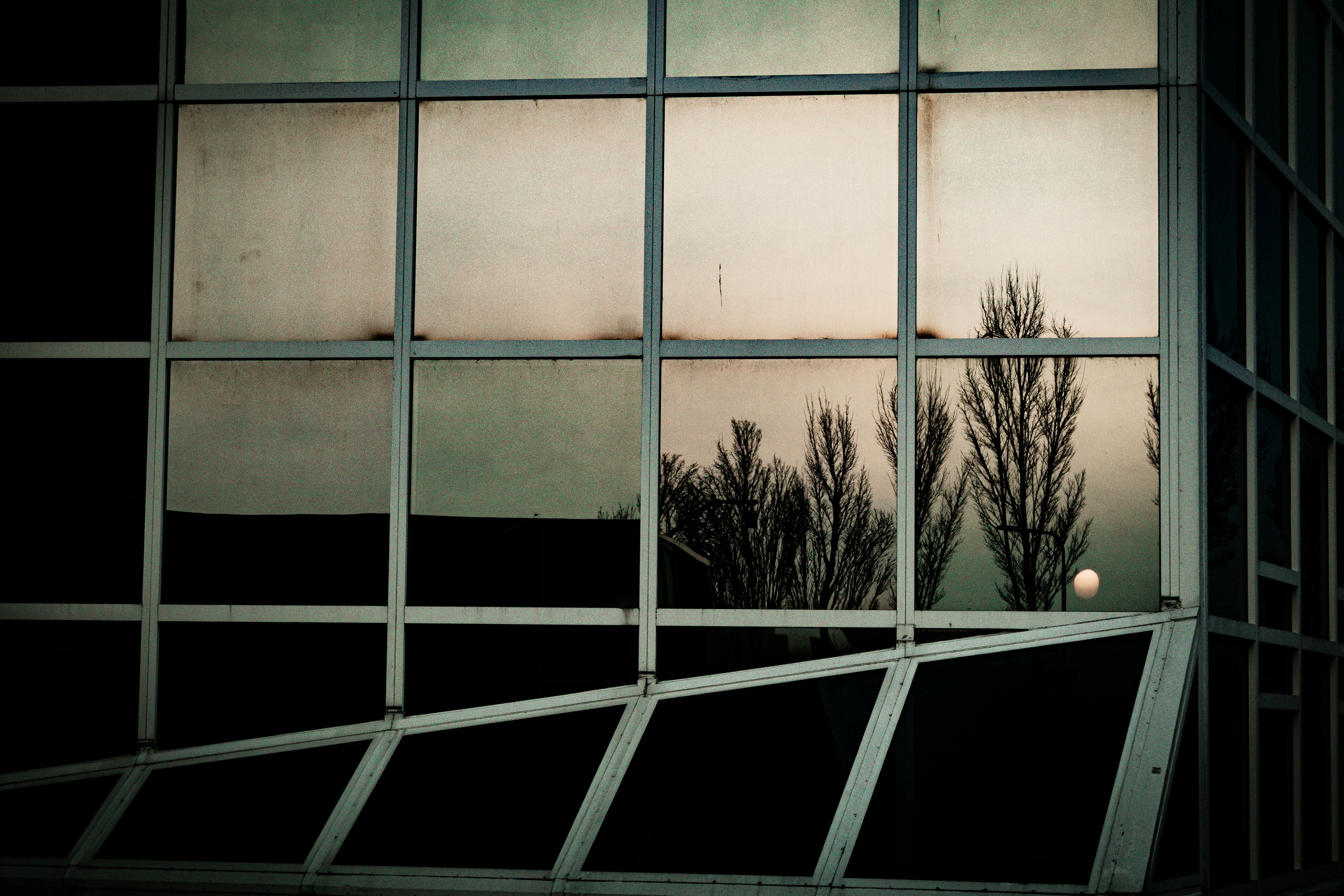 Gratuit Reflecția unui apus de soare și a copacilor goi surprinși în ferestrele unei clădiri moderne. Fotografie de stoc