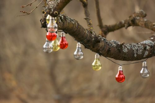 Free Aesthetic display of colorful light bulbs hanging from a tree branch outdoors in a natural setting. Stock Photo