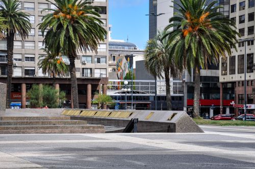 Free Sunny day scene at a palm-filled plaza in Montevideo, Uruguay, with modern architecture. Stock Photo