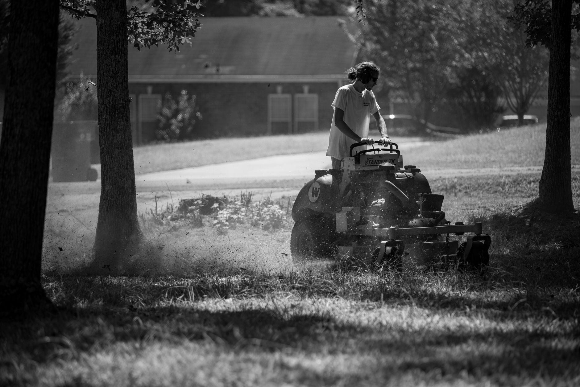 Best Lawn Mower 2026 — EGO, Honda & Greenworks