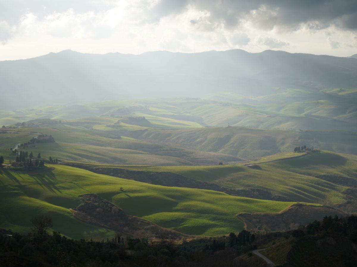 7 Day 50-Hour Embodied Yoga Teacher Training in Sicily, Italy 3
