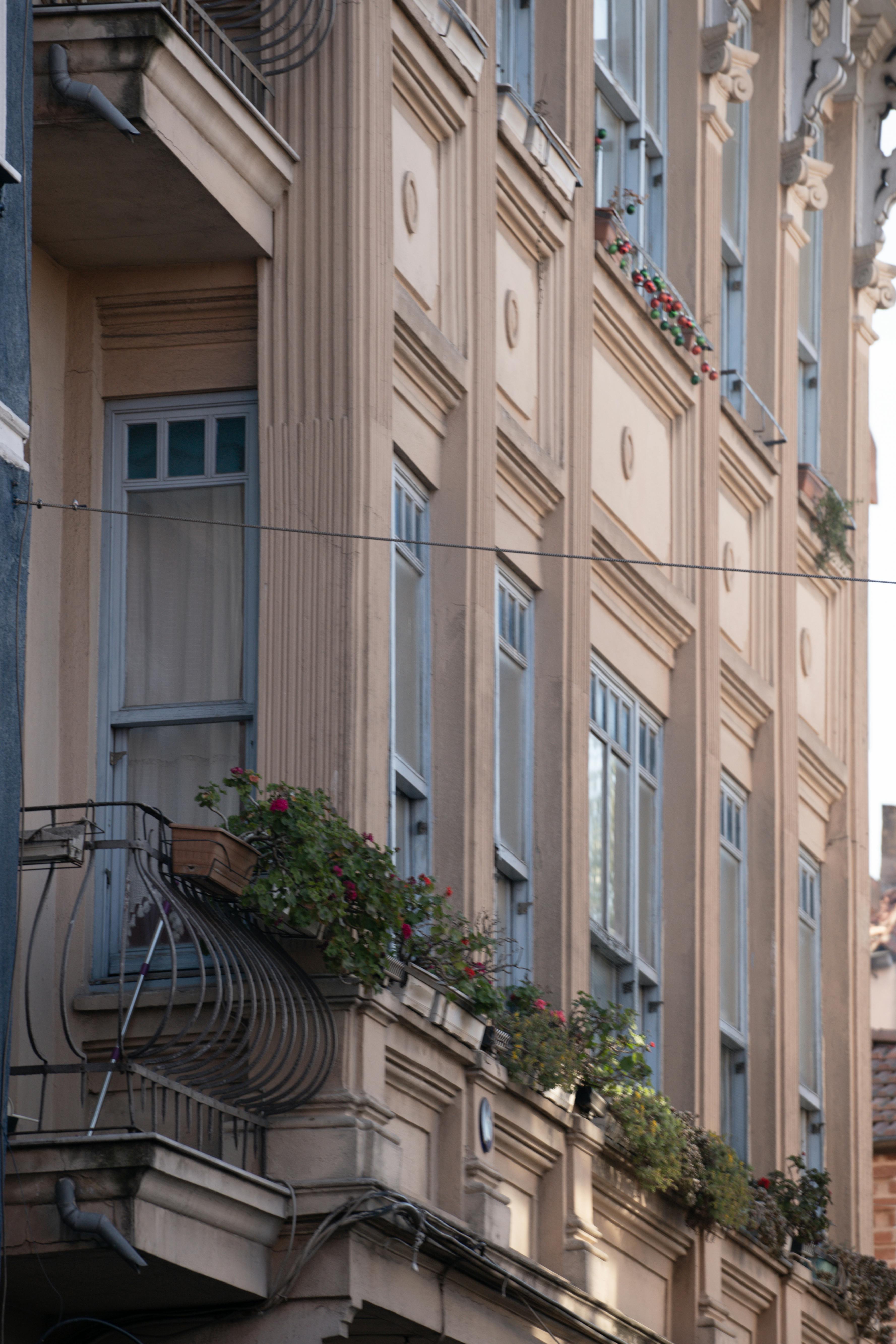 die 12 besten blumenk&auml;sten im aktuellen vergleich 03/2026