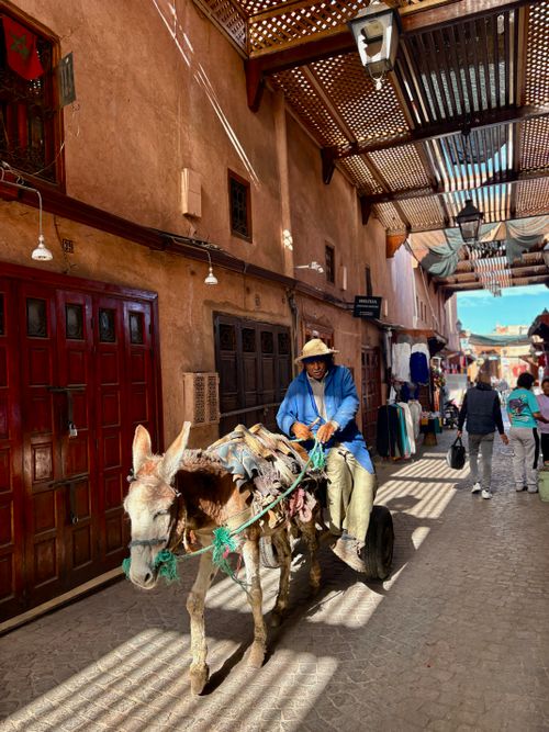 Free A local man rides a donkey through a bustling market street in Marrakesh, Morocco. Stock Photo