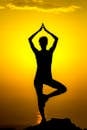 Silhouette of Woman Practicing Yoga at Sunset