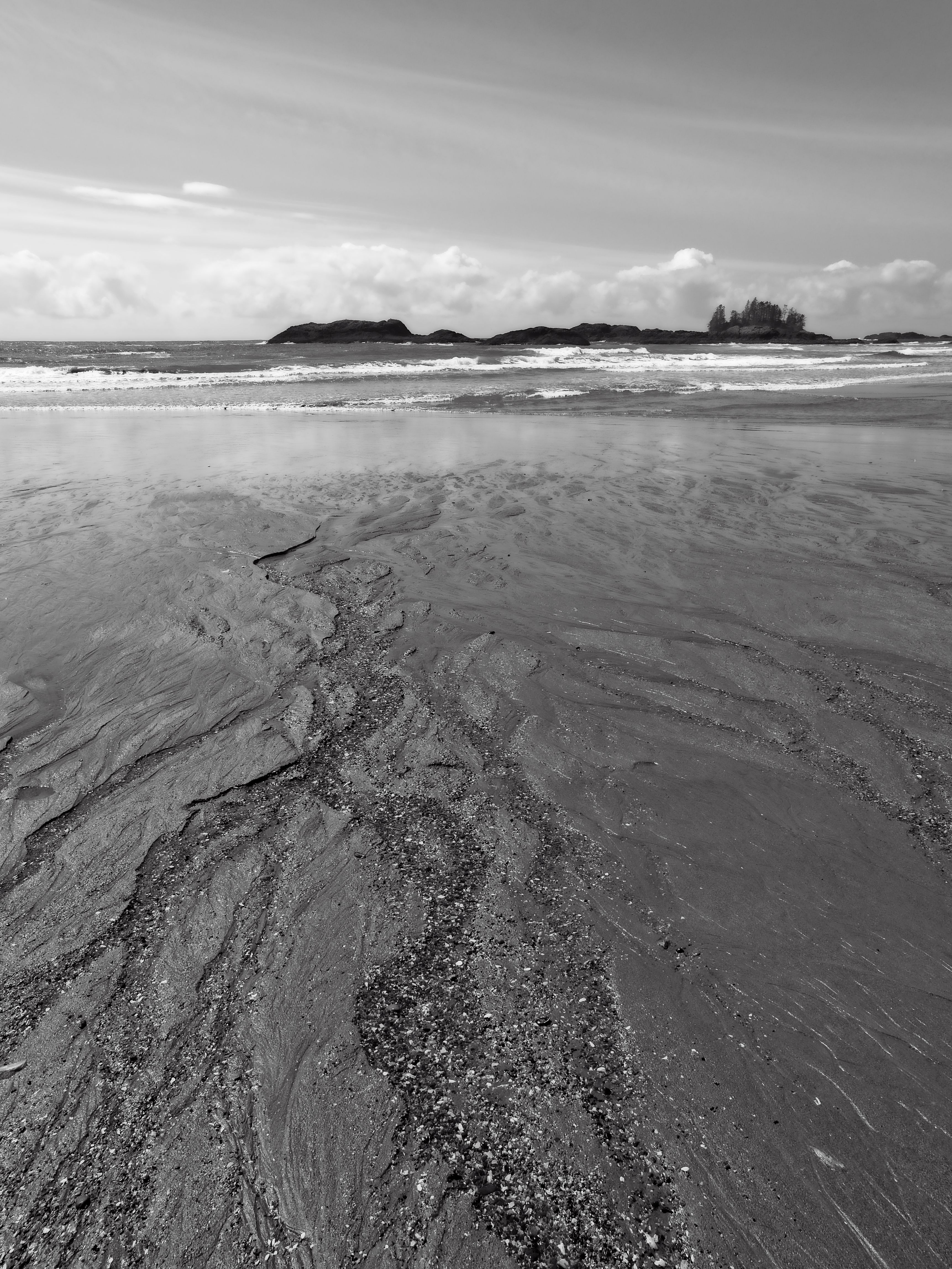 Black and White Coastal Beach Landscape · Free Stock Photo
