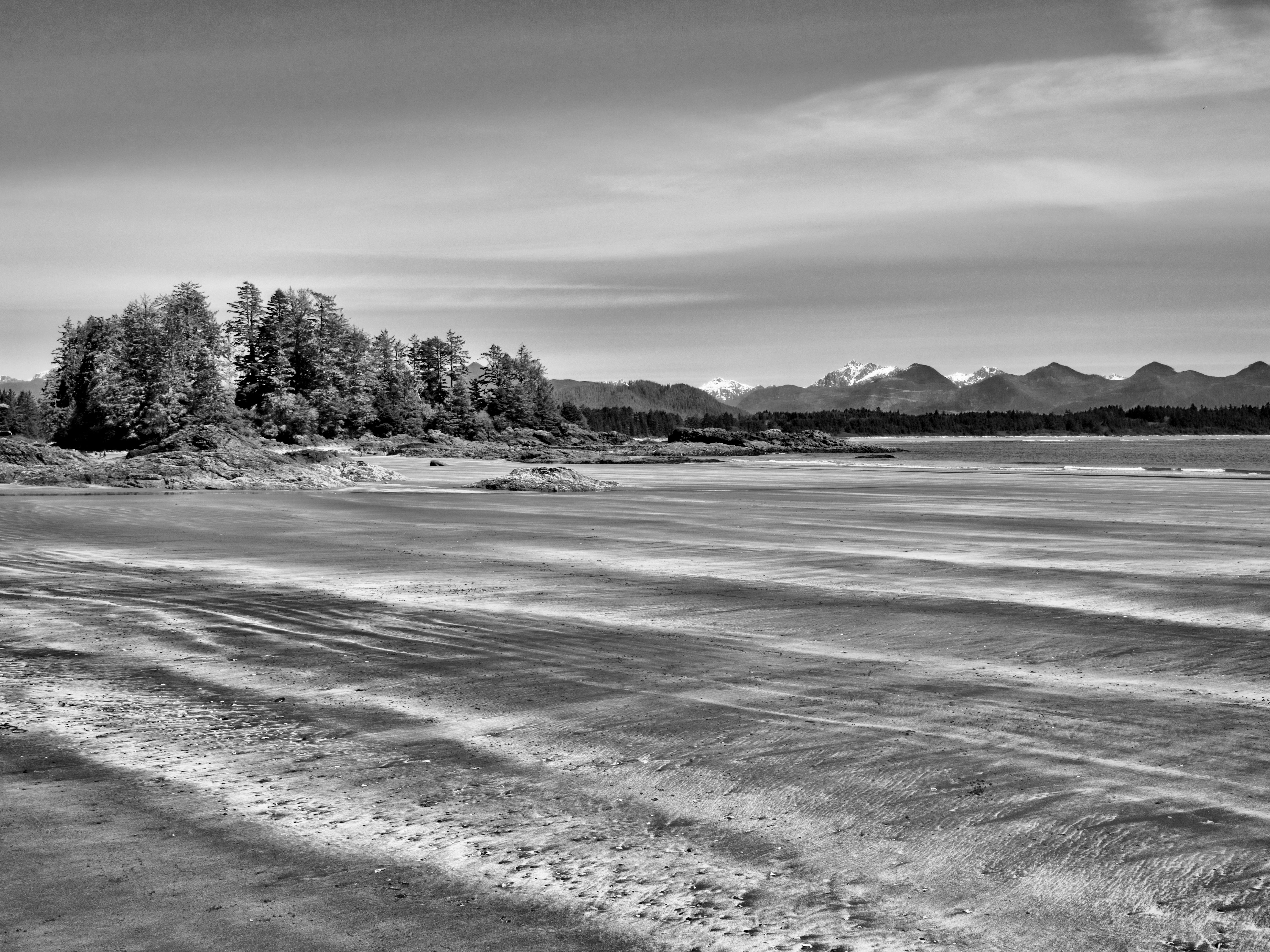 Dramatic Black and White Coastal Landscape · Free Stock Photo