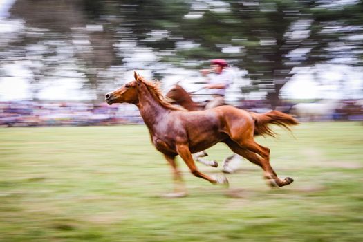 Dynamic horse race in Bragado, Argentina, capturing speed and tradition.