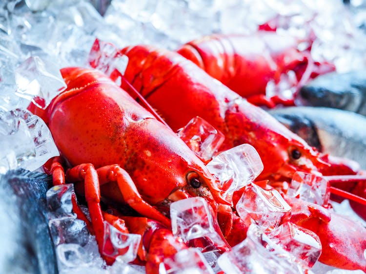 Fresh Lobsters On Covered With Ice Cubes