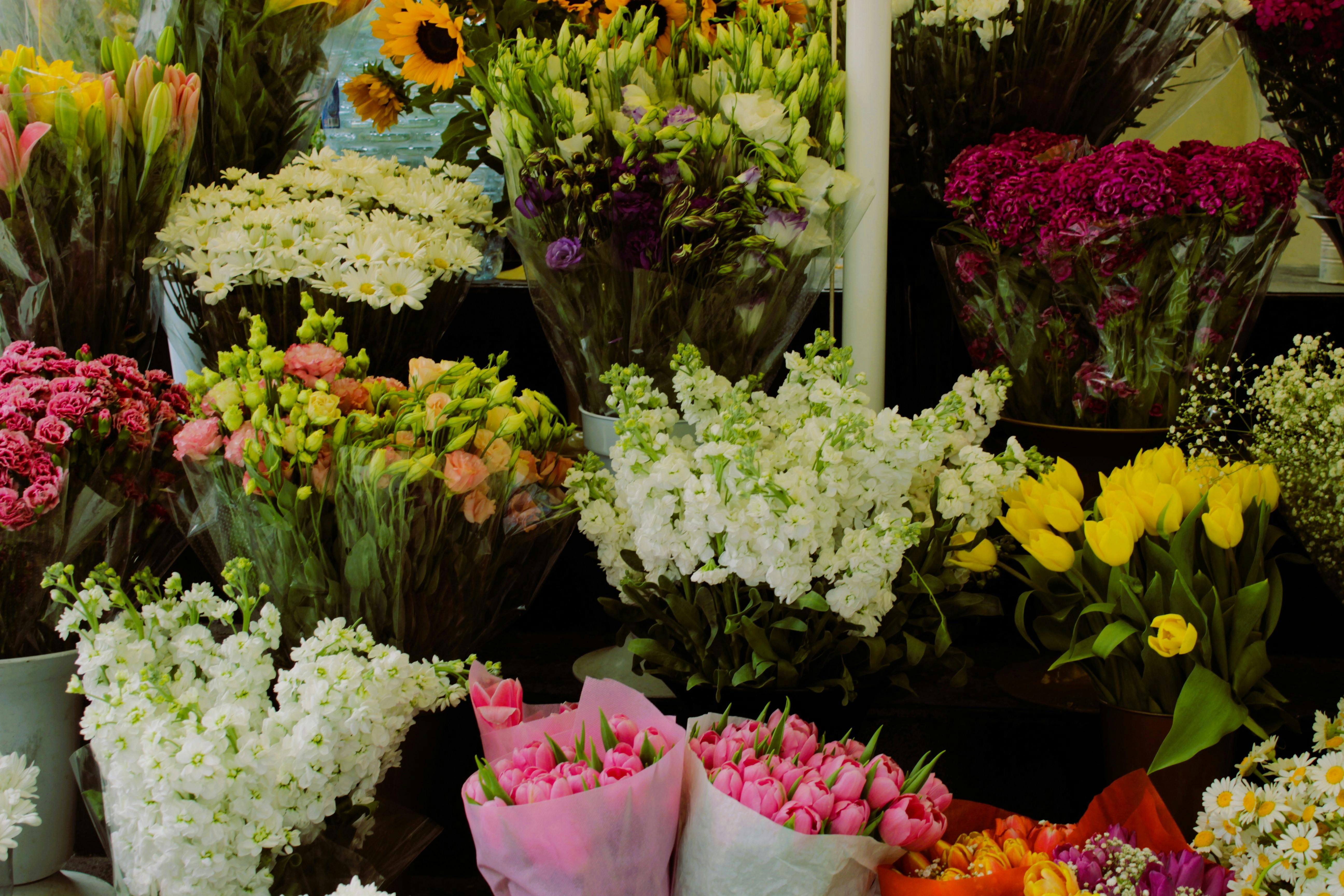 Gifts and flower delivery