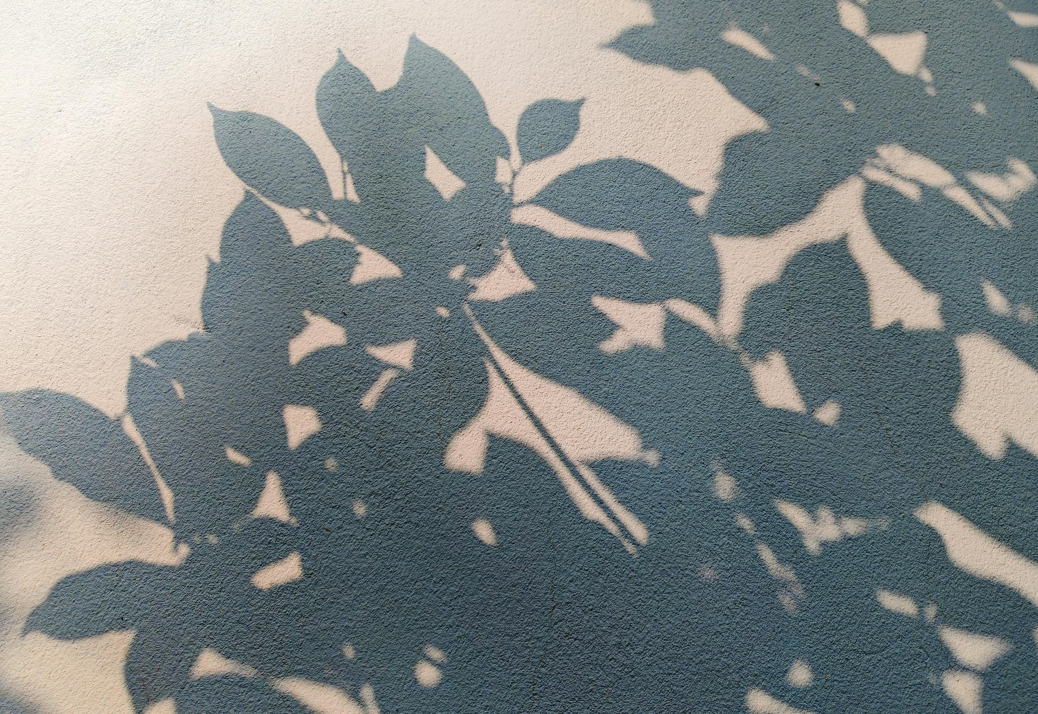 Free Artistic shadow silhouette of leaves creating a natural abstract pattern on a textured surface. Stock Photo