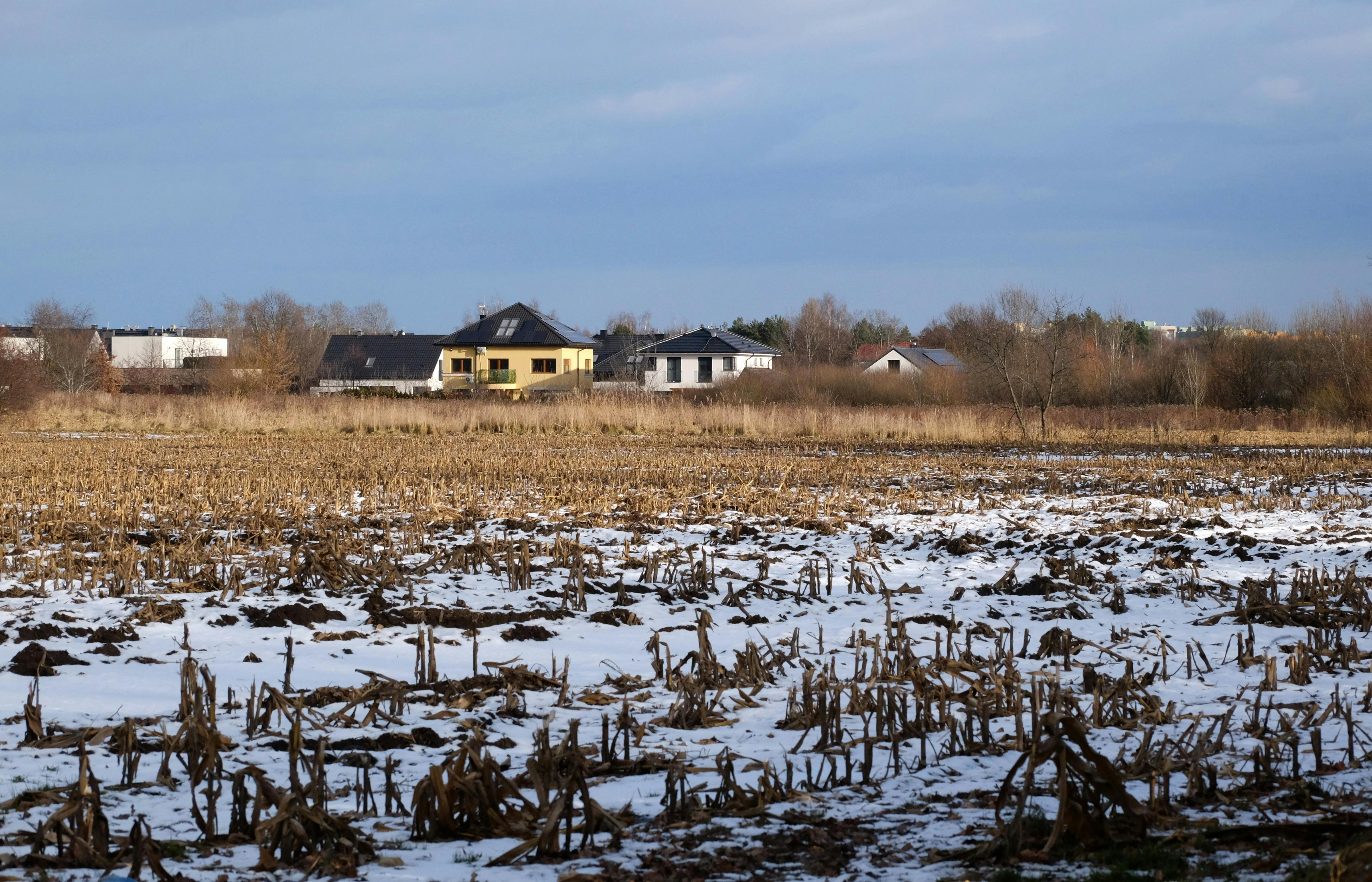 Serene winter scene with snow-covered field and distant suburban houses under a cloudy sky.