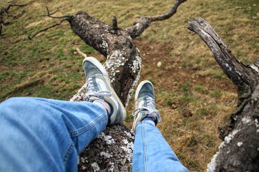 Feet wearing sneakers on a tree branch with a grassy background, captured in Delaplane, Virginia.