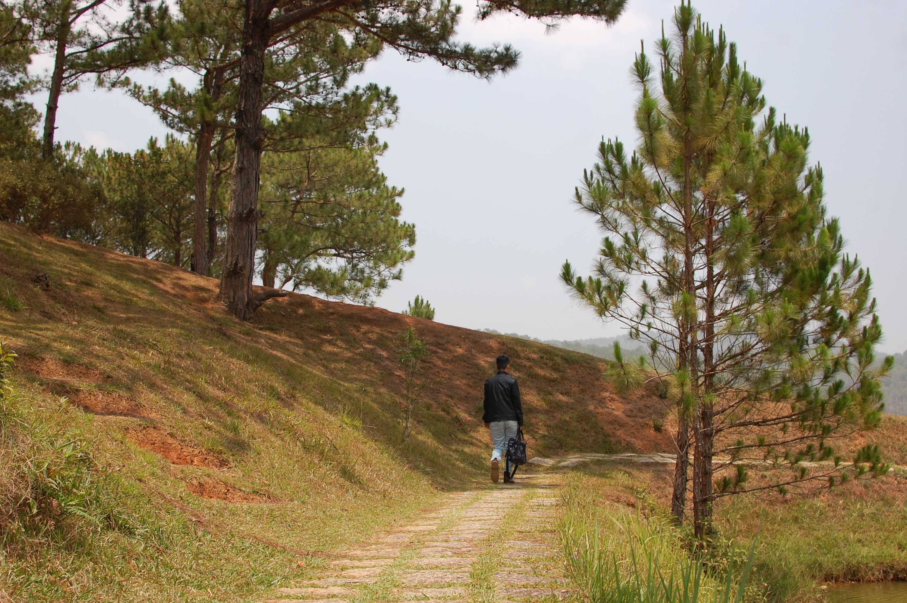 Tranquil Walk on a Mountain Path in Vietnam