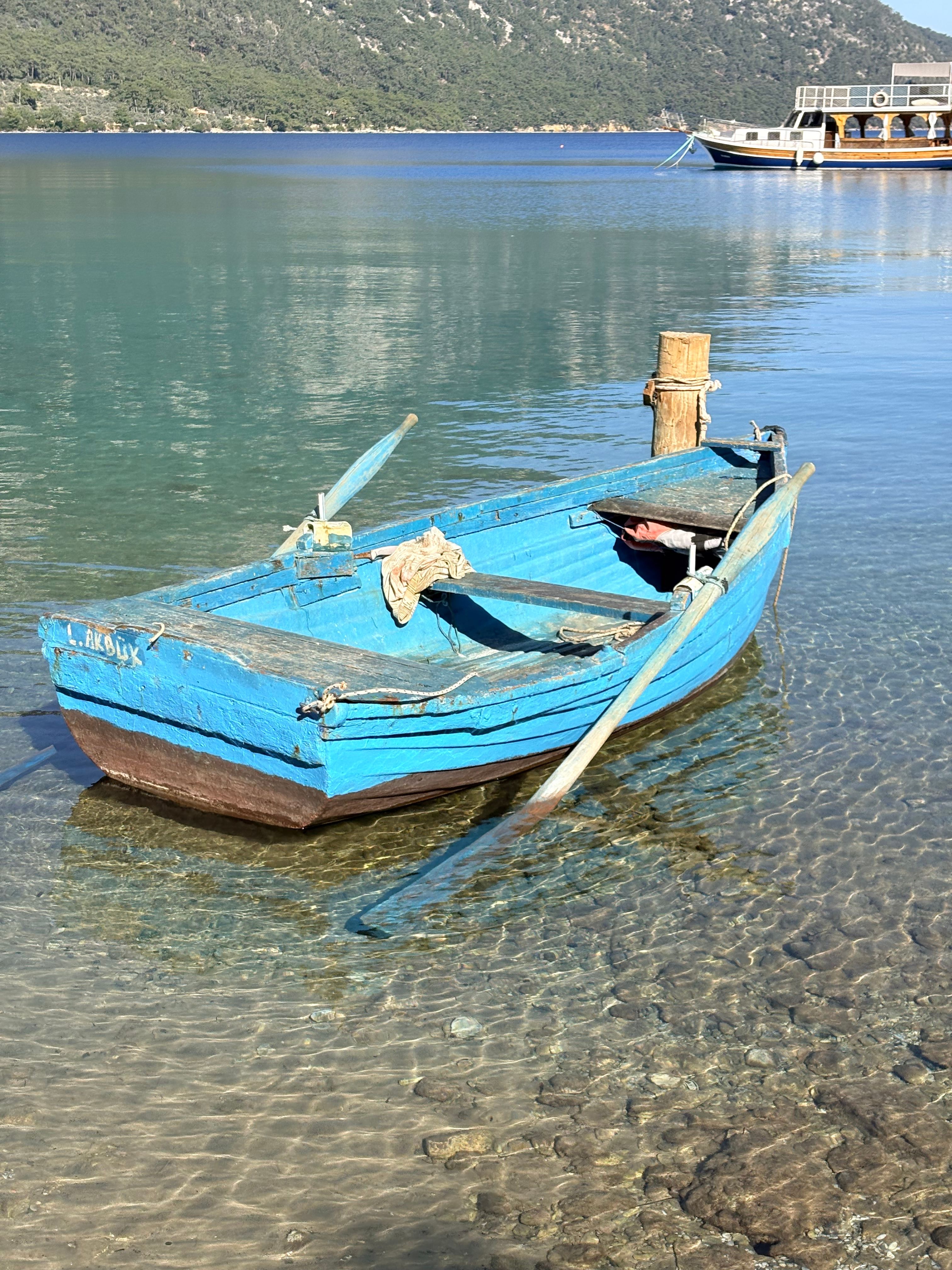 Charming Blue Rowboat on Calm Lake Waters · Free Stock Photo