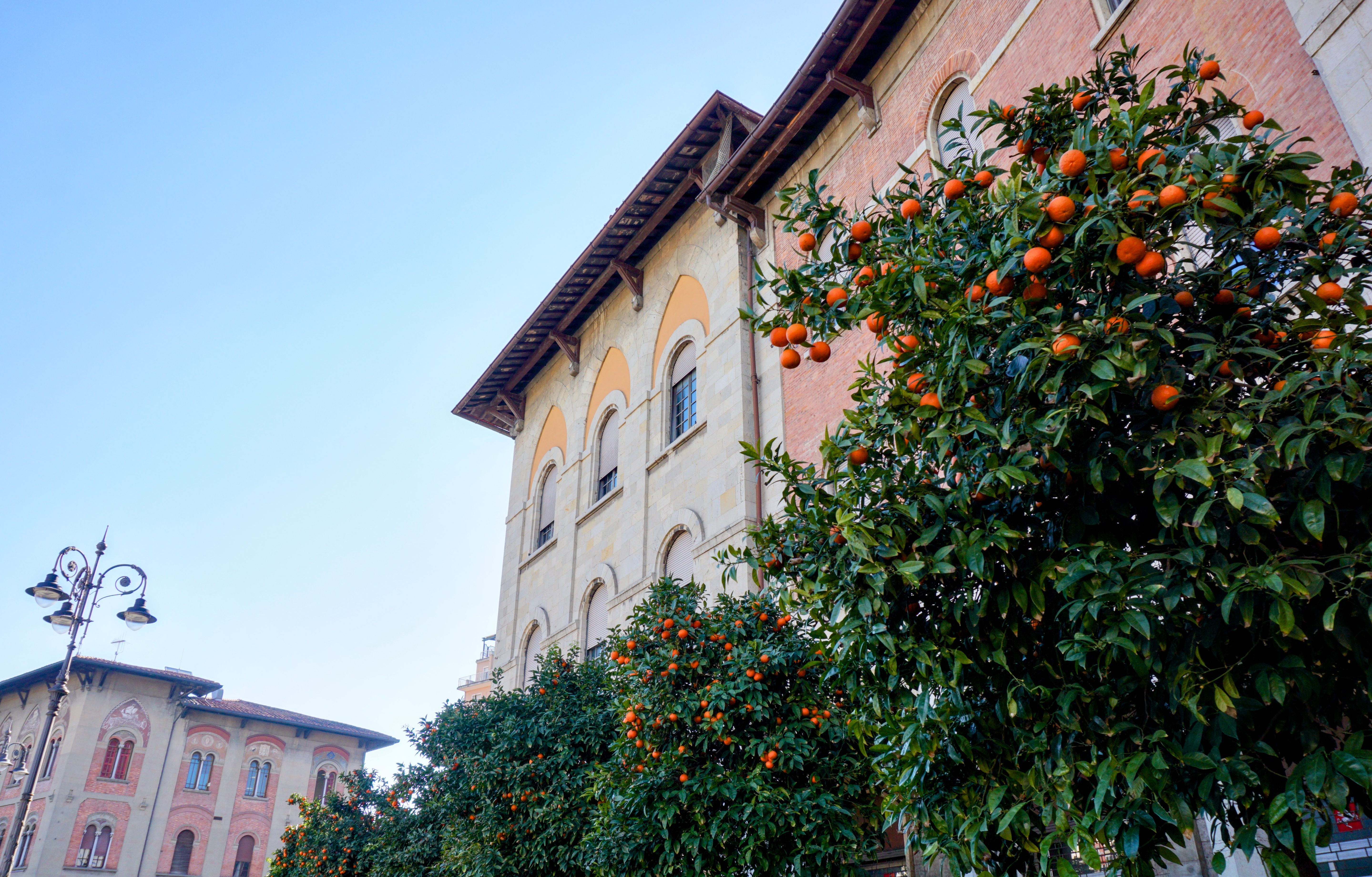 Castagneto Carducci