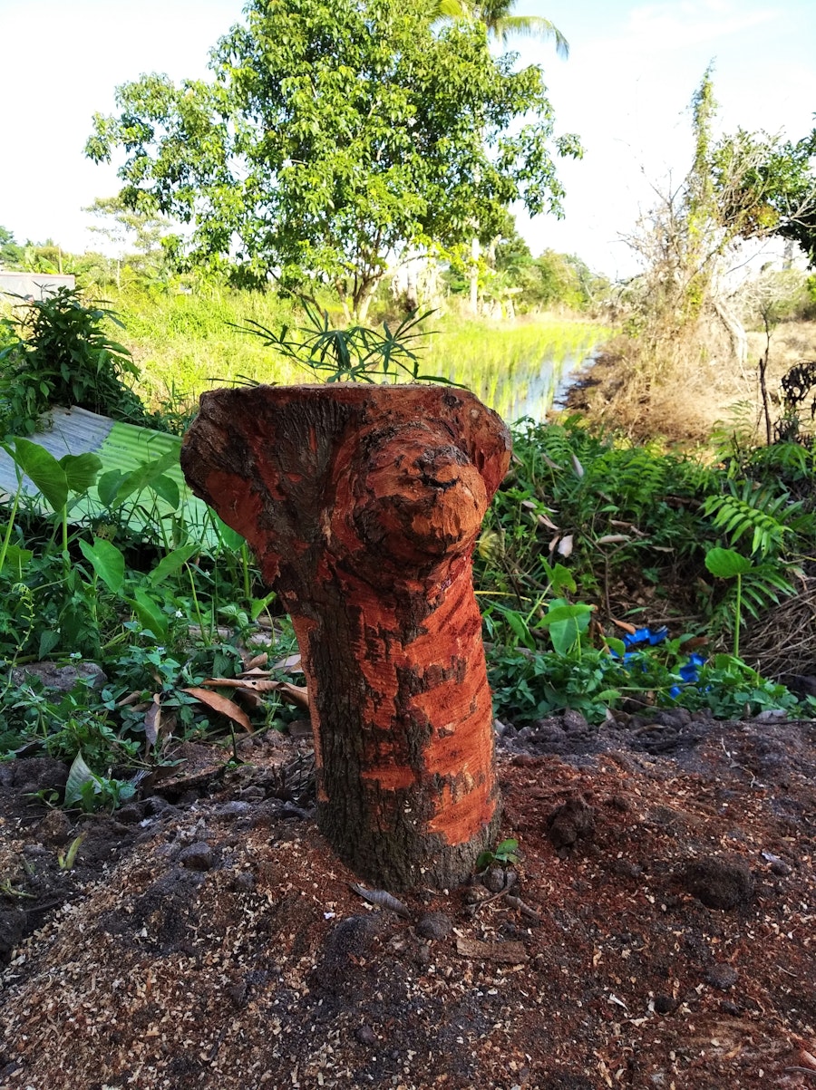 Contraception Options Explained: A Simple Guide to Making Confident Choices cover image