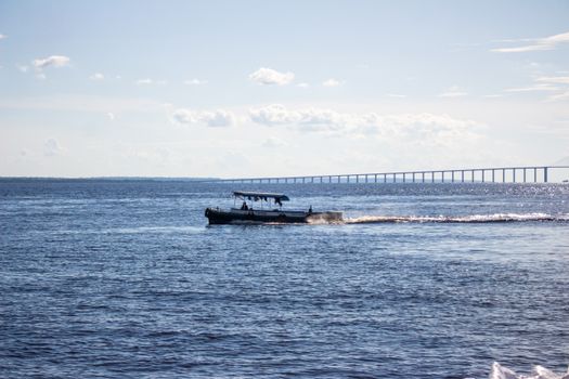 Manaus Amazon, Brazil photo 12