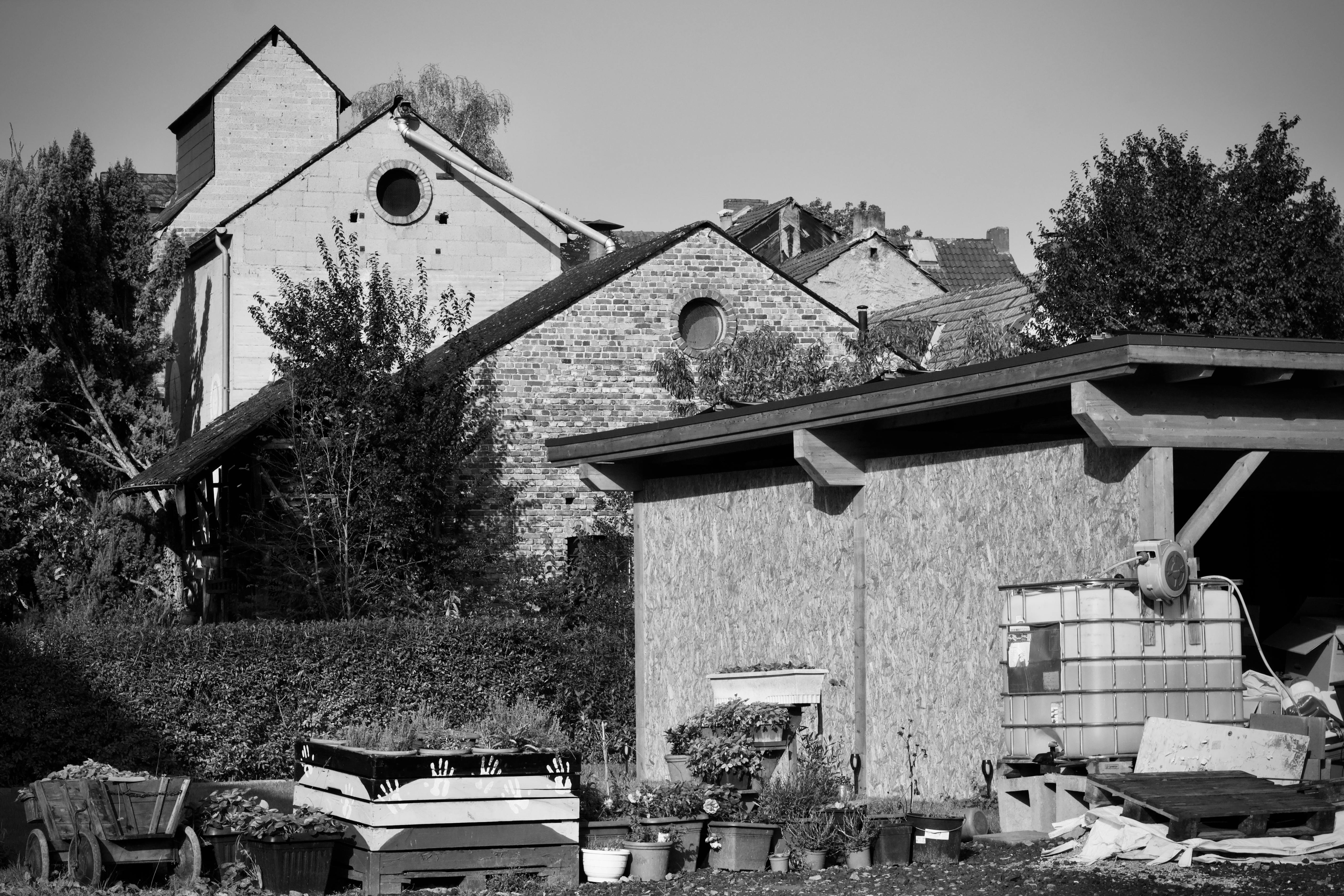 Δωρεάν Ασπρόμαυρη εικόνα ρουστίκ αγροτικών κτιρίων με υπαίθρια αποθήκευση και πράσινο. Φωτογραφία από στοκ φωτογραφιών