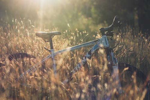 Photos gratuites de beauté naturelle, cyclisme, faire du vélo