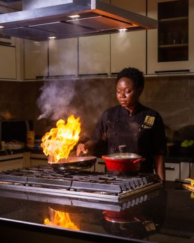 Professional chef skillfully cooking with a flame in a modern kitchen setting.
